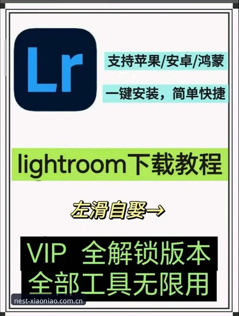 小鸟平台手机版 小鸟平台登录必备知识:手机版下载安装与注册全流程实用指南